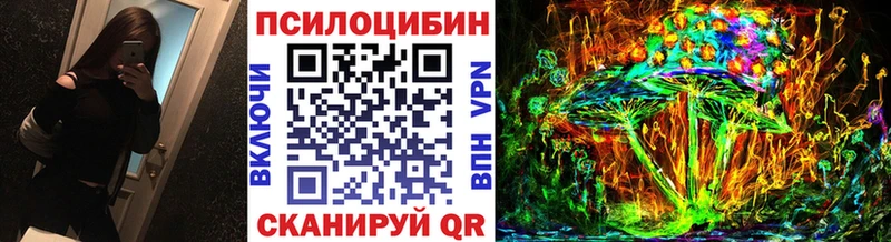 Галлюциногенные грибы Cubensis  omg tor  Норильск 