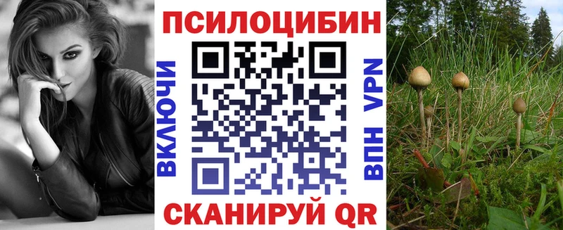 Псилоцибиновые грибы GOLDEN TEACHER Норильск